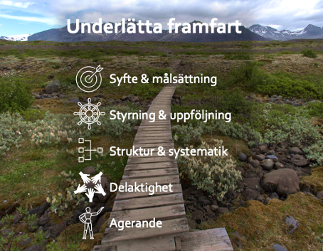 Struktur för att uppnå en hållbar organisation